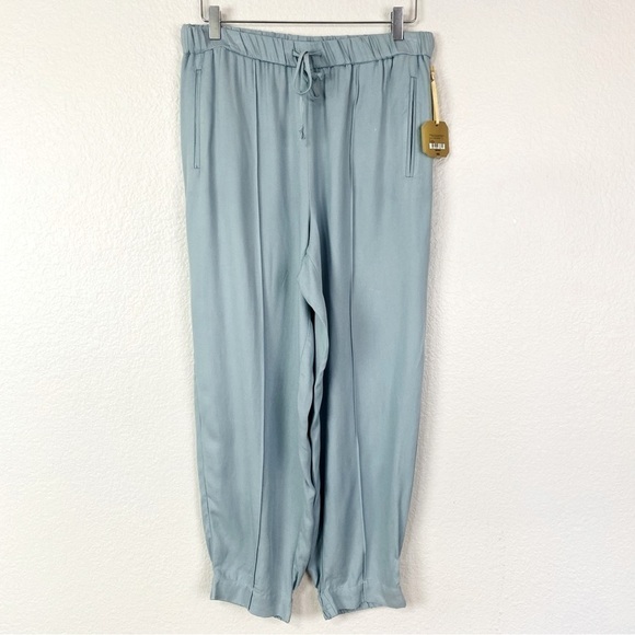Raegrass Slate Luxe Jogger Pants Size M - Picture 2 of 13